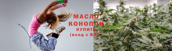 индика Медвежьегорск
