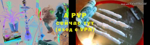стаф Магас