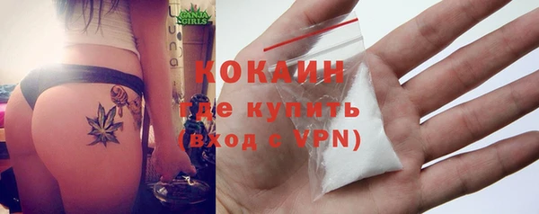 стаф Магас