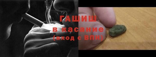индика Медвежьегорск