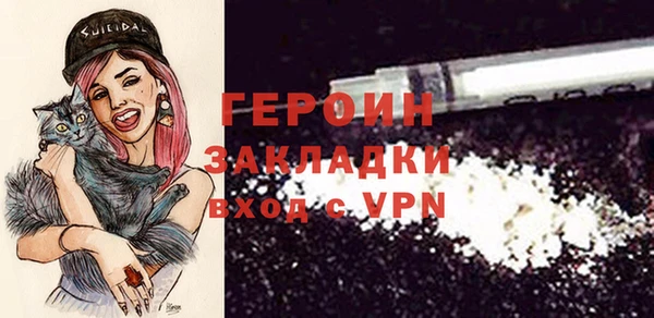 индика Медвежьегорск
