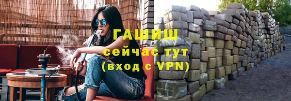 индика Медвежьегорск