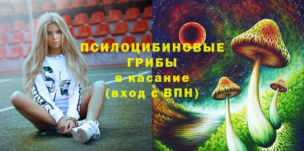 индика Медвежьегорск