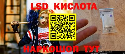 тгк Гай
