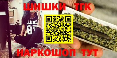 тгк Гай
