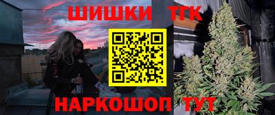 тгк Гай