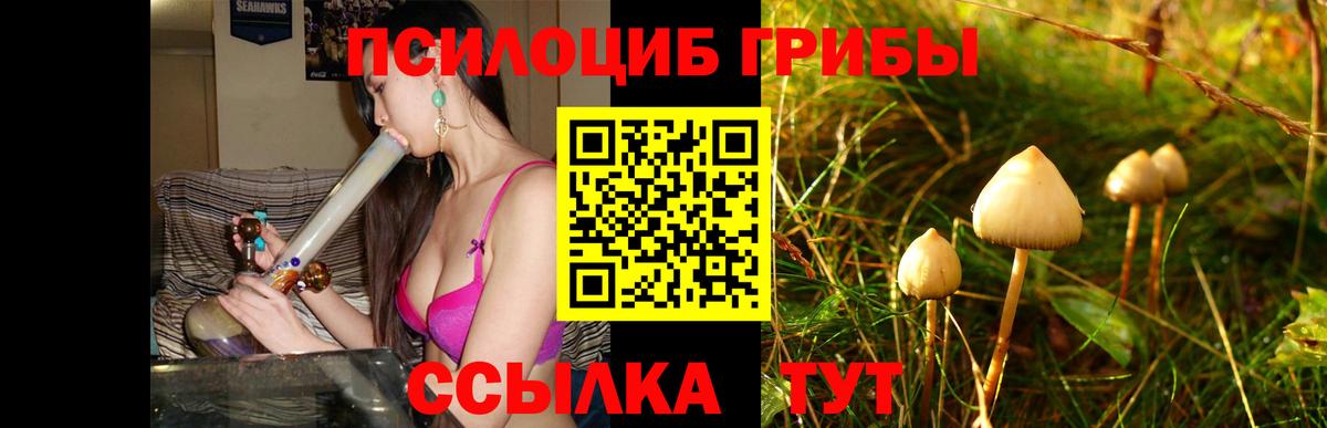 Галлюциногенные грибы GOLDEN TEACHER  Вход с VPN  Псилоцибиновые грибы ЛСД  как найти закладки  Топки 