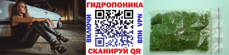 Марихуана план  где продают наркотики  Топки 